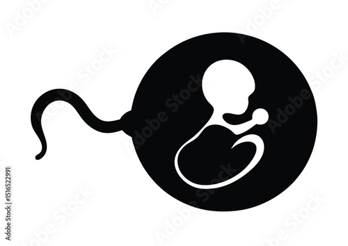 Human Embryo Silhouette Vector Illustration for Medical and Educational Design Projects