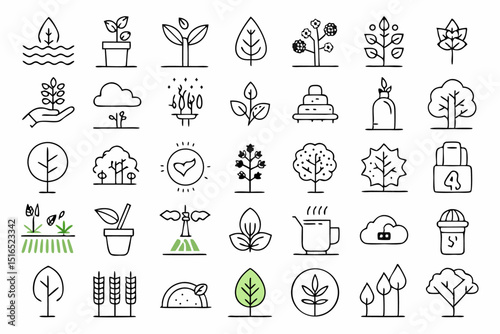 A single line icon depicting tree planting plant growth and drought conditions