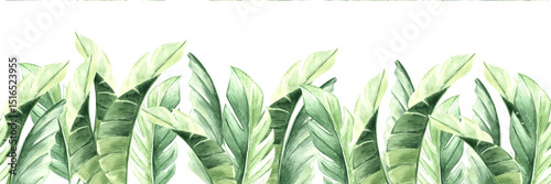 Watercolor tropical palm leaves illustration for summer rainforest designs. Botanical seamless border. Hand drawn large jungle plants of bananas in realistic style. Lush greenery exotic foliage print.