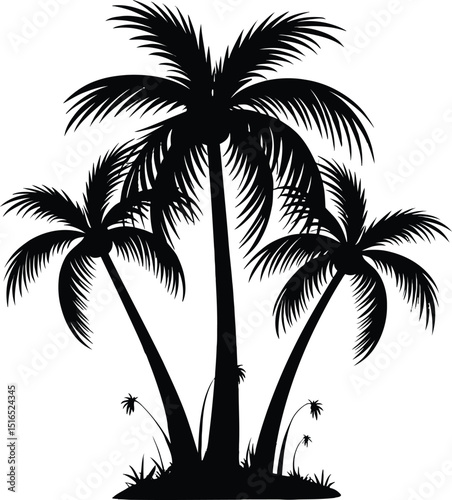 Silhouette of palm trees on white background. Vector illustration.