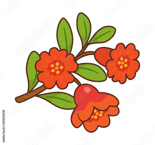 Pomegranate branch with bright red flower. Hand drawn flat style with bold outlines. For food packaging, healthy food, organic branding, nutrition blogs, labels, seasonal designs, greeting cards