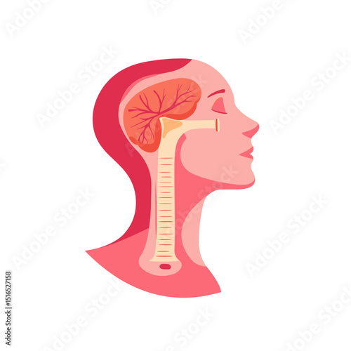 Anatomical Illustration of Human Head Brain and Throat Profile with Cutaway View in Pink and Beige Tones