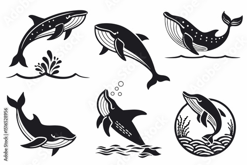 set of birds