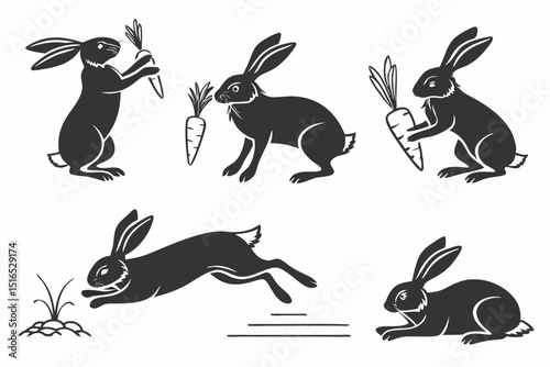 set of rabbits