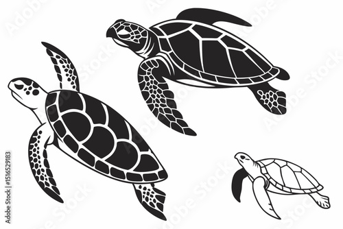turtle