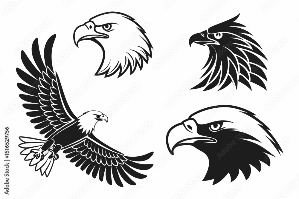 Fototapeta premium eagle vector illustration