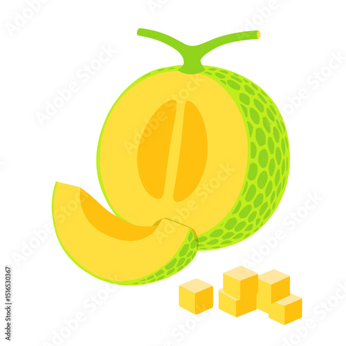 Cantaloupe melon, fruit vector illustration 10	