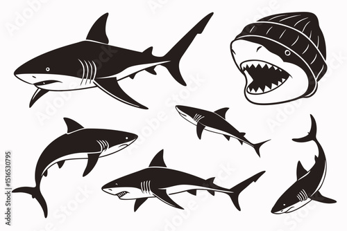 set of sharks