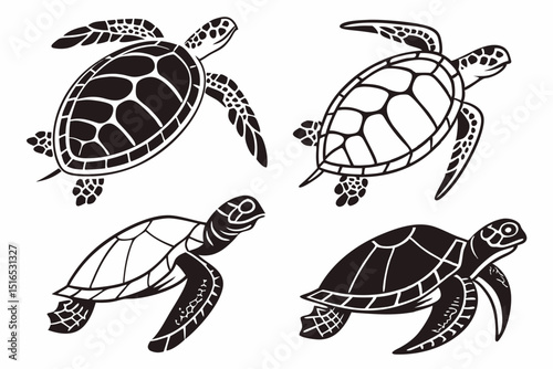 turtle