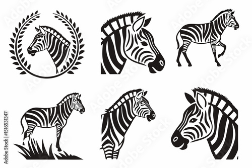 zebra vector illustration