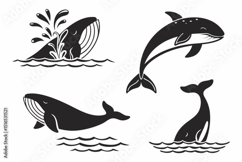 set of dolphins