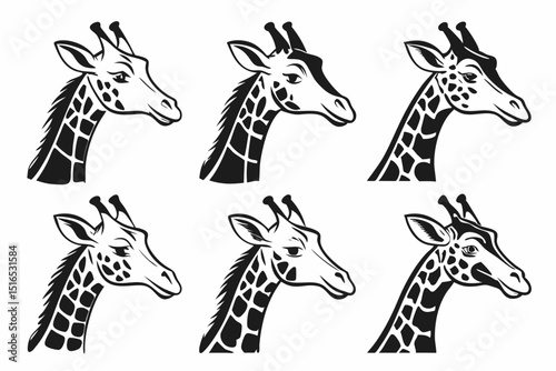giraffe vector illustration