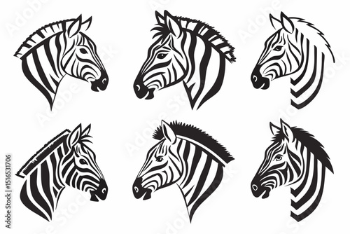 zebra