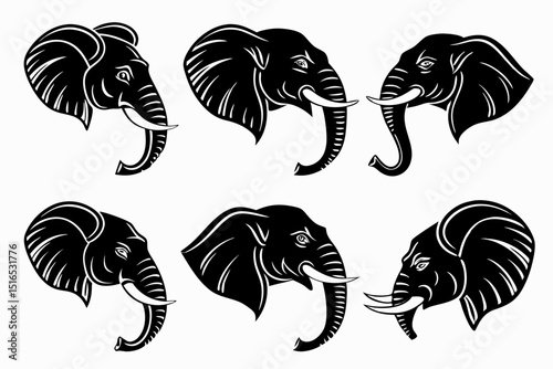 set of black and white horses
