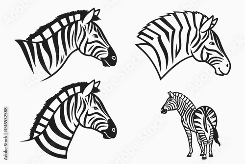 zebra vector illustration