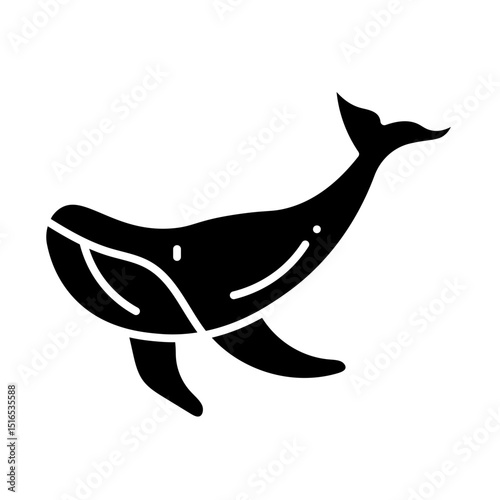 Humpback Whale