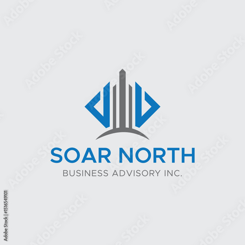 Soar North Elevating Business Growth Through Strategic Advisory