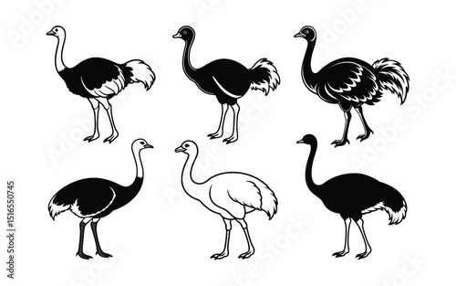 Funny cartoon ostrich vector set with birds and wildlife animals.