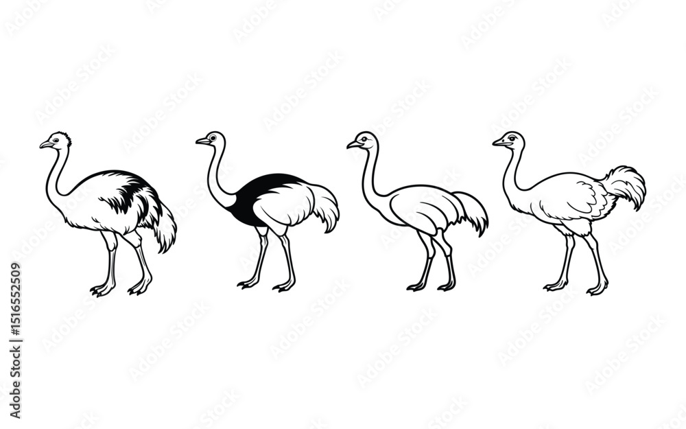 Naklejka premium ostrich silhouette vector.