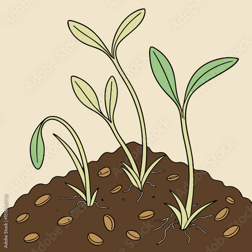 Illustration of young seedlings sprouting from soil, symbolizing growth and new beginnings