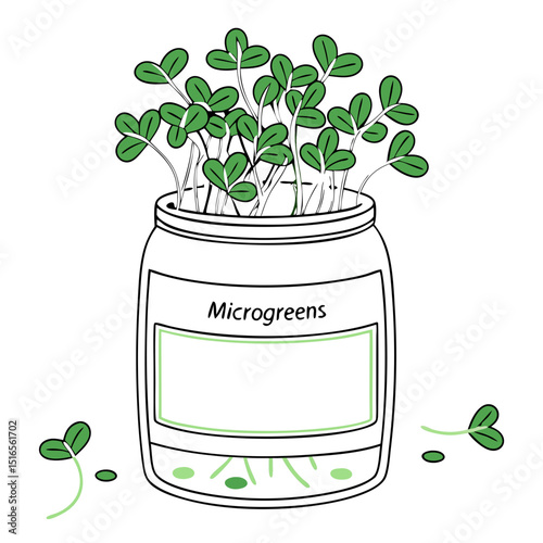Illustration of a jar with microgreens, showcasing healthy indoor gardening