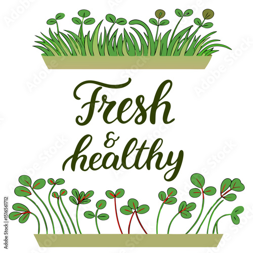 Fresh and healthy text with illustrations of microgreens and grass, promoting healthy living