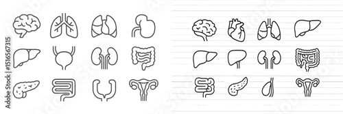 Icons representing human organs and systems arranged on lined paper for educational purposes
