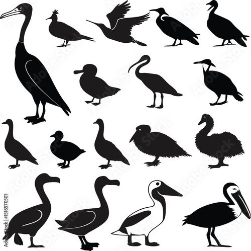 Diverse Bird Silhouettes A Scalable Graphic Design