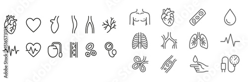 Collection of health and anatomy icons depicting the human body and vital signs in minimalist design