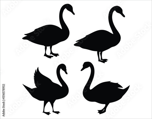 Black Swan Bird Silhouettes – Vector