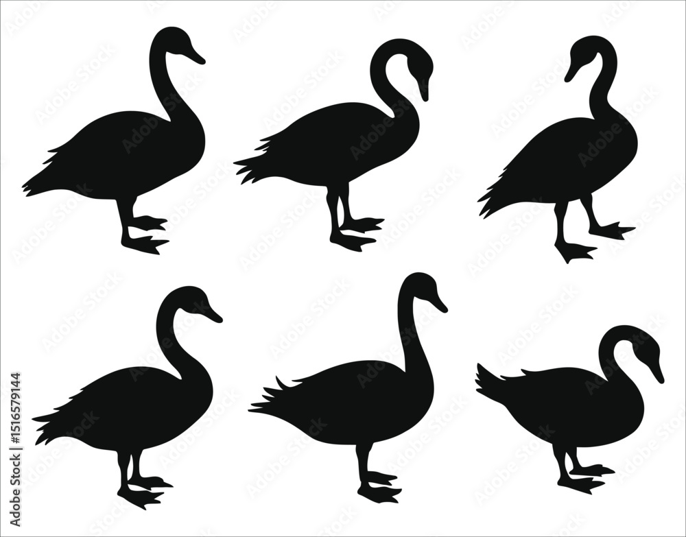 Obraz premium Black Swan Silhouette Art Set – Vector