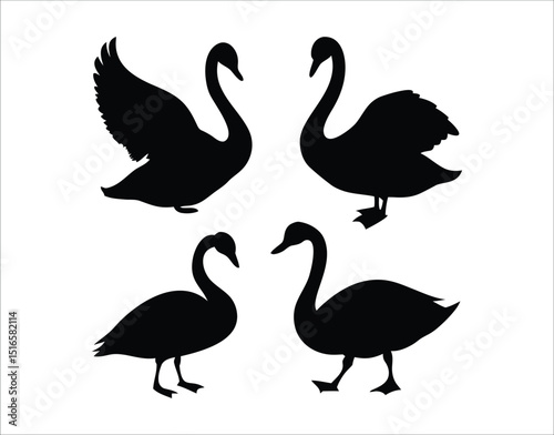 Minimalist Swan Silhouette Set – Vector