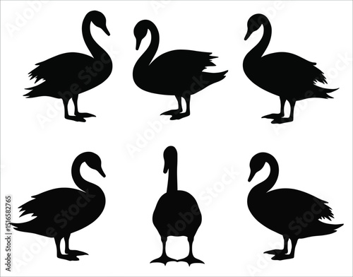 Silhouette Swans in Natural Poses – Vector