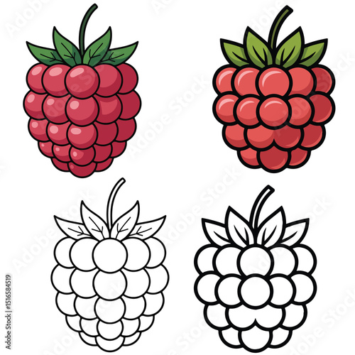 Raspberry Illustration Set Red, Black, and Outline Versions, Raspberry Illustration Variations Black White and Red