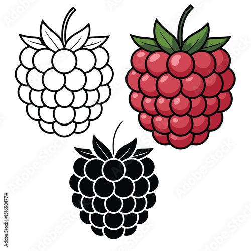 Raspberry Illustration Set Red, Black, and Outline Versions, Raspberry Illustration Variations Black White and Red