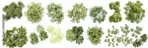 Suitable for garden layouts and environmental schematics.