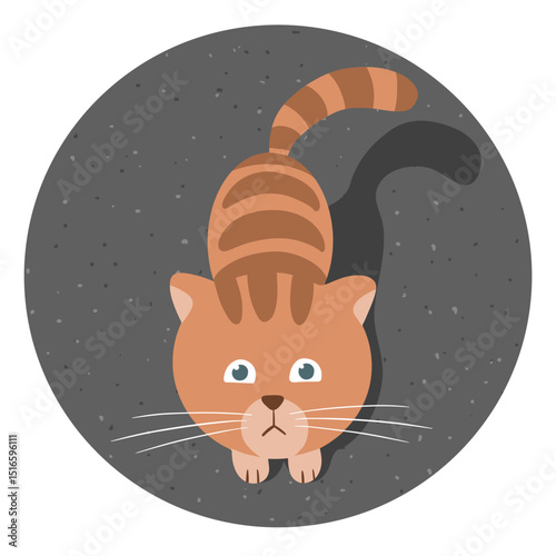 Cute striped ginger cat. Plain hungry look. A poor homeless animal. Caring for domestic pet. Cartoon vector round illustration top view