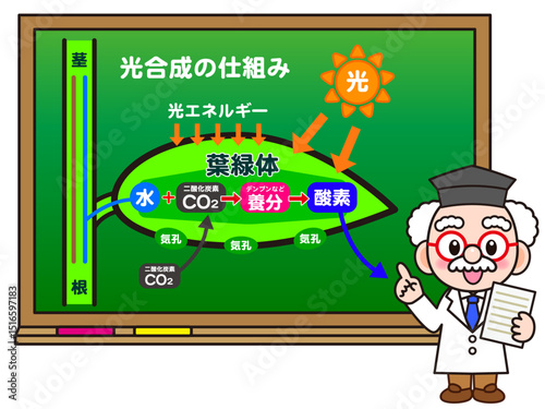 黒板で光合成の仕組みを説明する博士のイラスト素材