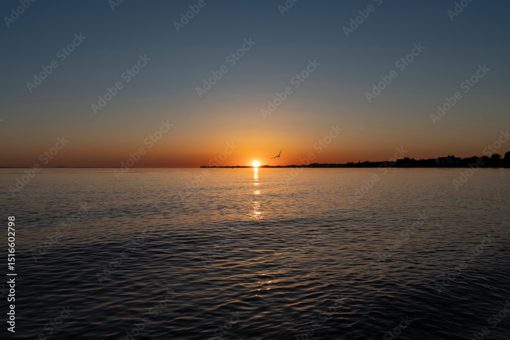 Naklejka premium sunset with silhouette of a bird / gull in beautiful colours over lake constance seen from Bregenz towards the island of Lindau