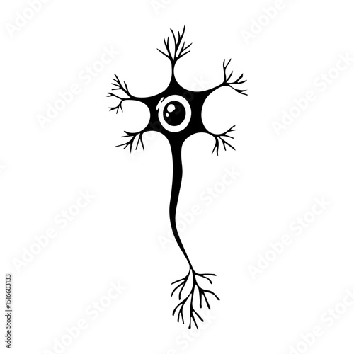 multipolar neuron