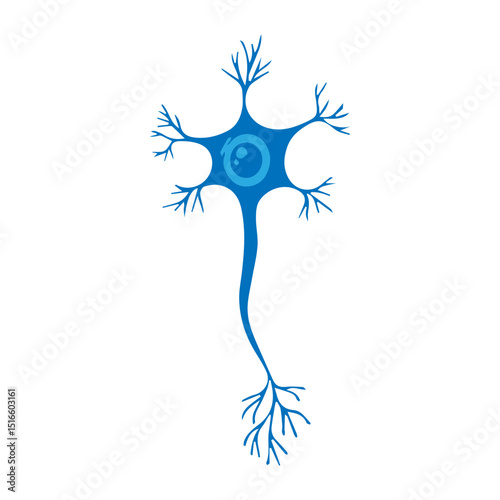 multipolar neuron
