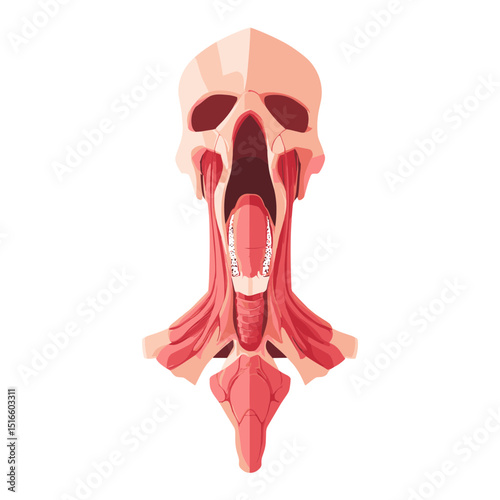 Detailed anatomical illustration of skull and neck muscles with a vintage pixel art style isolated against a white background