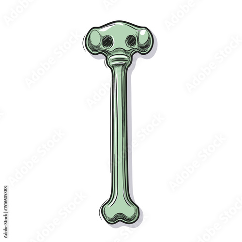 Engraving Style Pale Green Bone Skull with Smooth Texture on White Backdrop