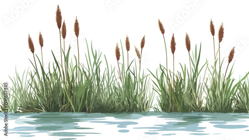 Serene River Landscape with Bulrush Plants Vector Illustration