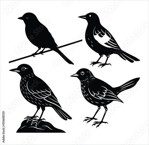A set of wild birds, a collection of animal silhouettes as a vector illustration on white, showing nature's design with feather and wing.