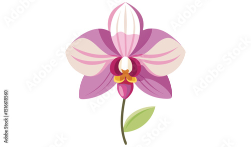 Pink orchid flower illustration botanical design