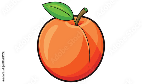 Single ripe apricot fruit illustration