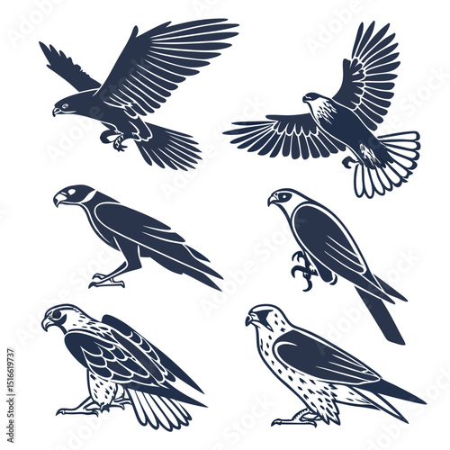 falcon icon set of 6 silhouette icon vector on whi (1).eps