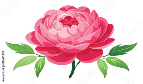 Single pink peony flower with green leaves