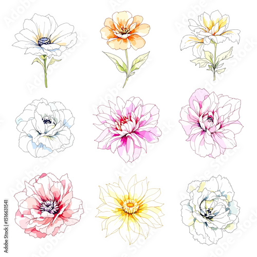 Set of watercolor flowers on white background, Set watercolor Flowers Clipart